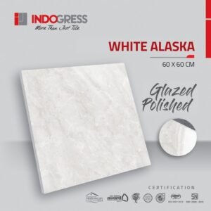 Indogress White Alaska