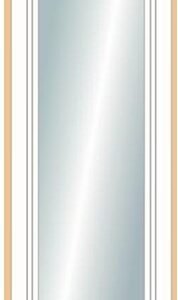 MAGWIN "TYPE D2 MAGWIN PREMIUM SERIES" D2 CLEAR