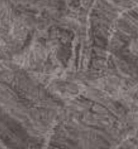 GREENLAM VISCONTI (PJP 5583)