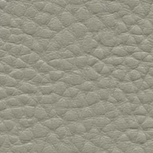 SKAI® Parotega NF