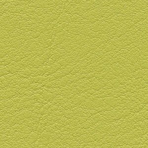 SKAI® Evida